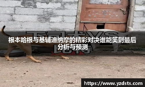 根本哈根与基辅迪纳摩的精彩对决谁能笑到最后分析与预测