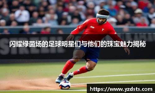 西汉姆联官方网站